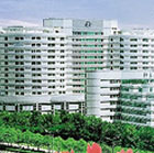 北京大学深圳医院